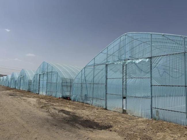 榆林市榆阳区：机械化育秧“大显身手” 孕育丰收“好苗头”