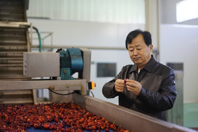 ​刘子贤：海红果深加工的“拓荒者”