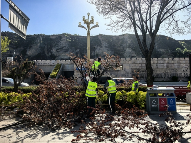 陕西神木：精修细剪育新绿 低碳赋能美家园