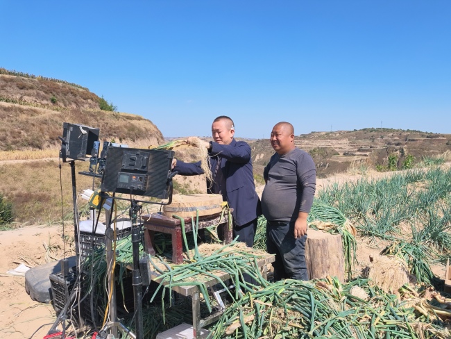 陕西佳县:旱地红葱“触网”热销 带动“土货”走出深山