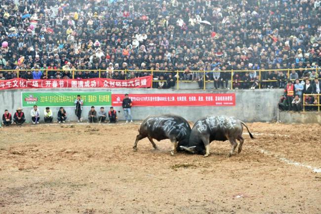 不是一夜爆红，此前他们尝试了五次