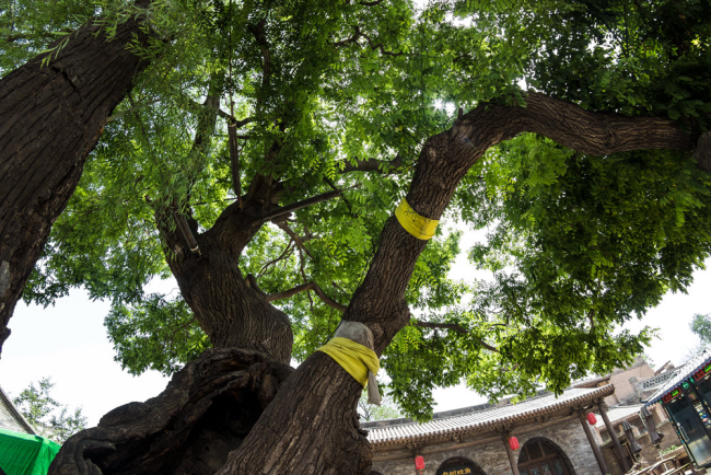 Enter the Ancient Village of Shanxi —— Zhang Bi Ancient Fortress (II)