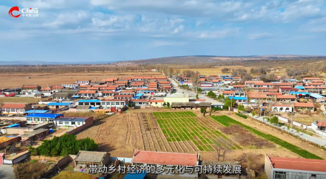 百场带千村:《管涔山下的振兴画卷·羊圈沟林场》