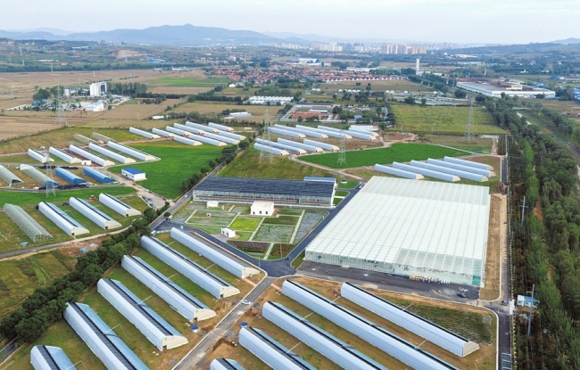 高平市寺庄镇箭头村：从软弱涣散村到典型标杆村的精彩蝶变