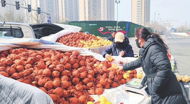 太原：惊蛰时节 酥梨俏销