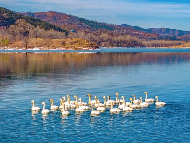 清漳河生态治理见成效