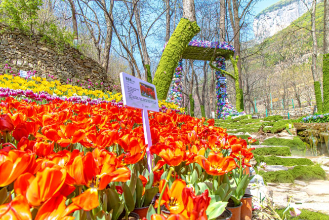 云丘山第二届仙山花朝节五一盛装启幕，邀您共赴一场穿越千年的东方仙旅