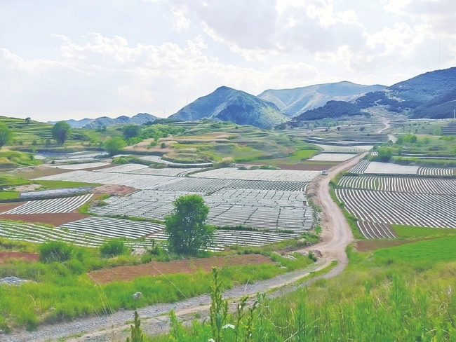点“秸”成金 变“废”为宝