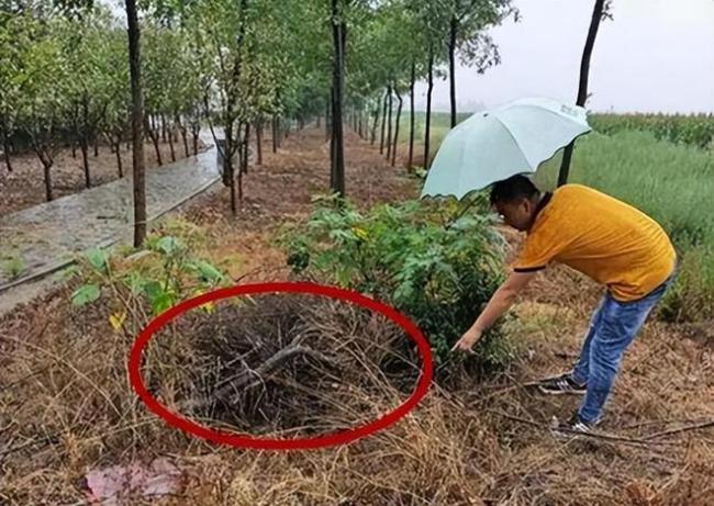 女教师赤裸现身枯井：床上凌乱有污渍 丈夫认罪被释放