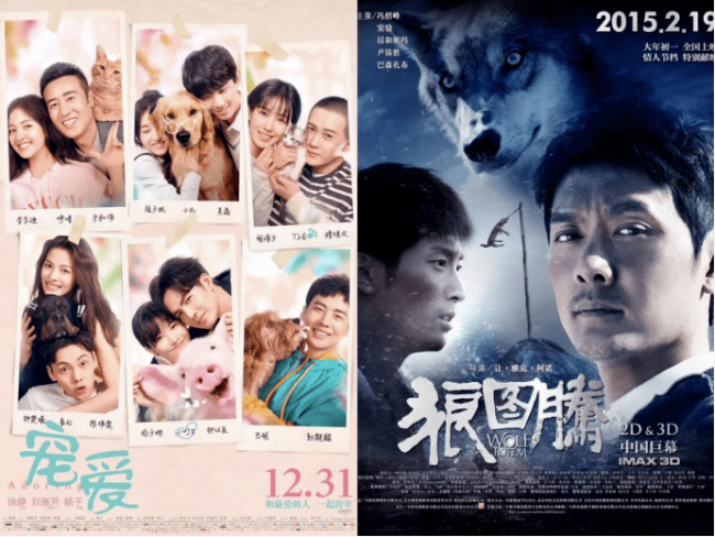狗狗和马狂飙演技，动物演员翻身当家做主角？