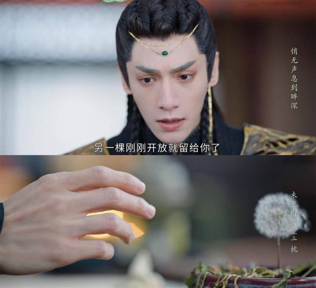《长月烬明》画风逐渐喜感！他们怎么把仙侠剧演得这么搞笑