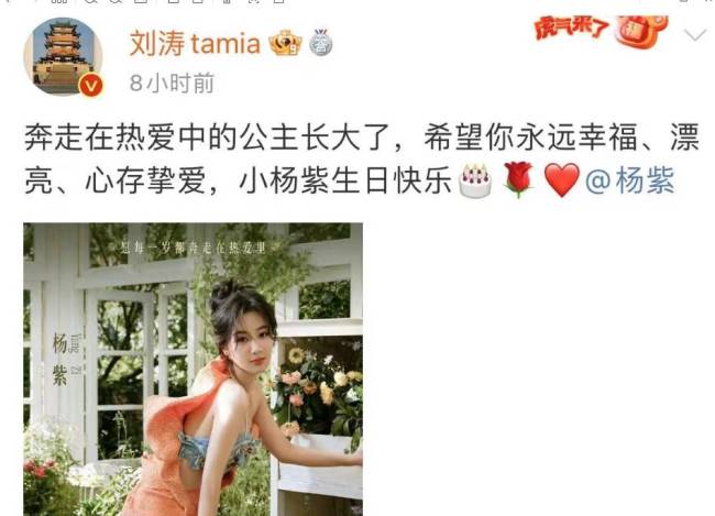 杨紫31岁生日排场大欢乐五美齐聚李现用心范丞丞送祝福也避嫌2