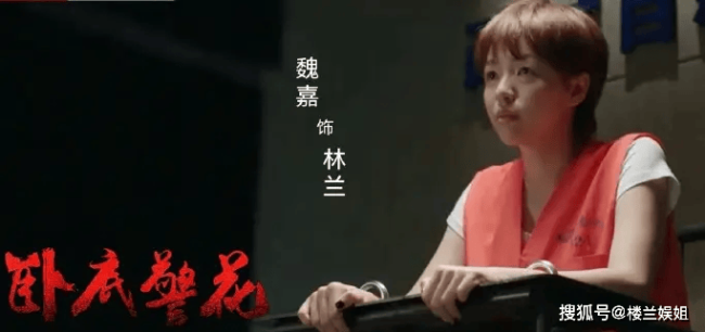 被曝孕期出轨，深扒高亚麟时玮离婚时间线，发现背后三人情感猫腻