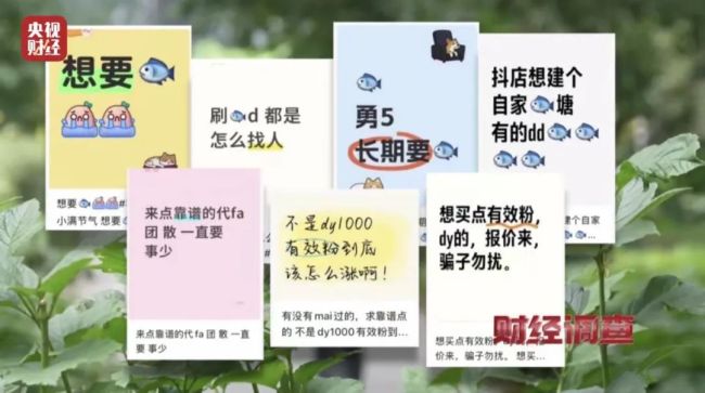 网络水军“黑生意” 充斥小红书、大众点评！《财经调查》曝光→
