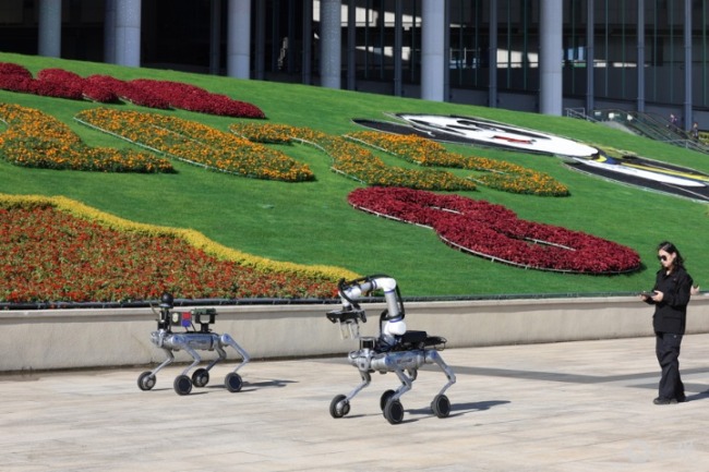 繁花锦簇迎盛会:国家会展中心靓装已定