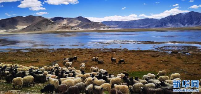 西藏定结湿地：静水如镜（图）