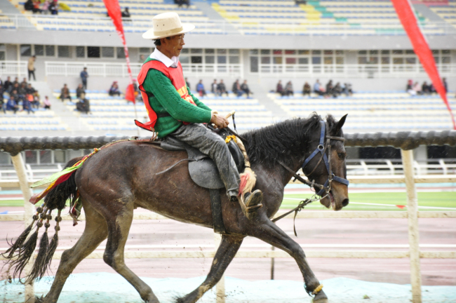 香格里拉2023年端午赛马节将于6月22日开幕