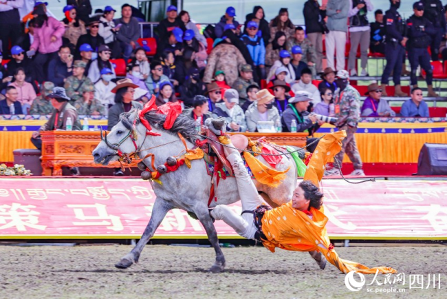 身轻如燕 四川理塘赛马夺人眼球