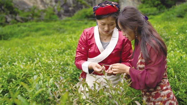 “皖藏一家亲” 真情洒高原