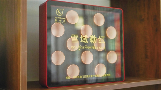 “皖藏一家亲” 真情洒高原