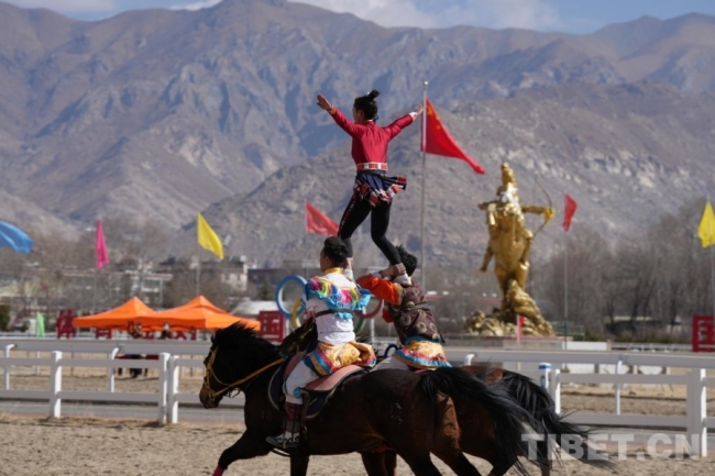 马年赛马！藏历初三，雪域赛马场上演“速度与激情”