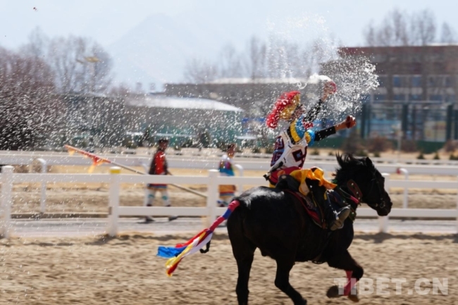 马年赛马！藏历初三，雪域赛马场上演“速度与激情”