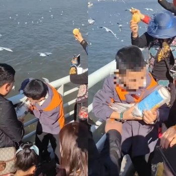 父母帮男孩抓海鸥塞瓶子后续来了 监护人被罚两千