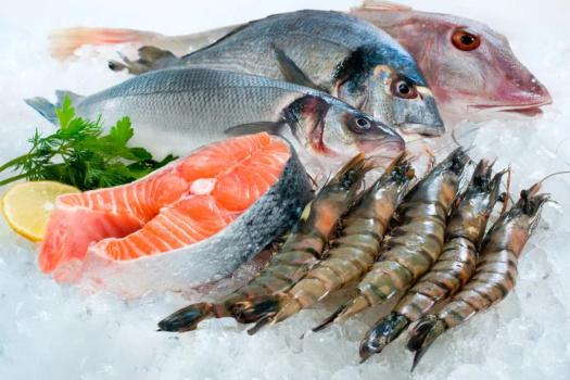海水鱼比淡水鱼更有营养吗？