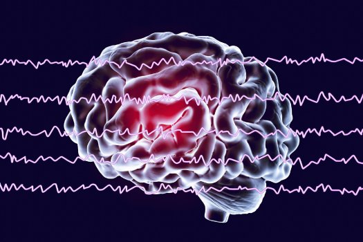 新研究精确定位人脑神经罗盘 解锁导航奥秘，助力疾病研究
