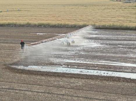 山东：加强水量调度科学灌溉，保障1100万亩农田解渴