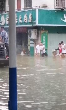 广西药店女职员疑在洪水中触电身亡 桂林19年来最大洪水成灾