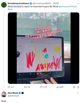 7岁中国女孩指出特斯拉技术缺陷 涂鸦消失之谜