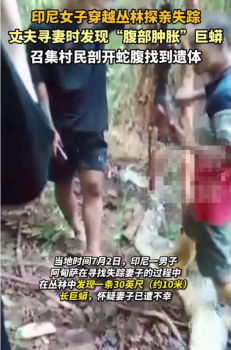 印尼女子穿越丛林探亲时被巨蟒吞食 警方证实遗体在蛇腹找到