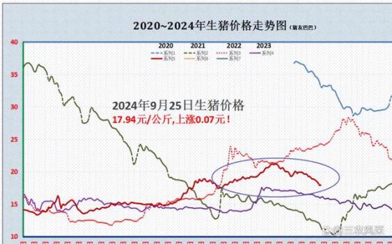 一夜“逆转” ，猪价“涨猛了”？