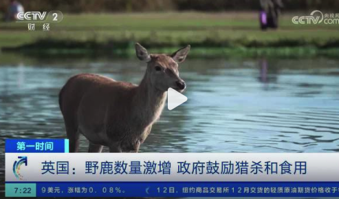 英国野鹿泛滥成灾，鼓励猎杀野鹿吃鹿肉