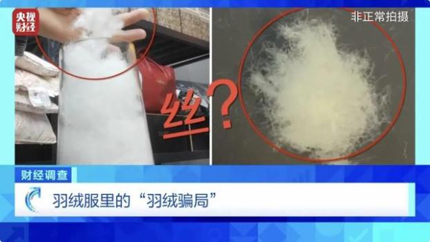 央视曝光羽绒骗局！你的孩子可能在穿 假羽绒泛滥市场