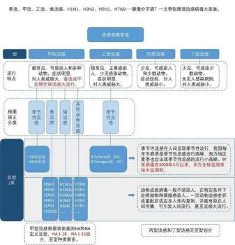 甲流、乙流、禽流感有什么不同？一文厘清流感病毒大家族