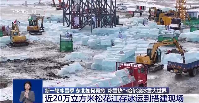 “尔滨”花式宠客2.0版来了 冰雪季再掀热潮