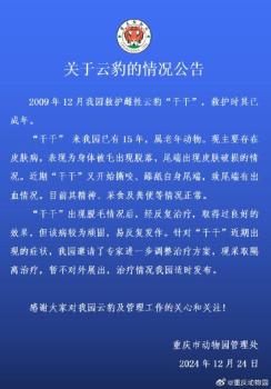 云豹干干因皮肤病隔离治疗 顽固病情反复发作