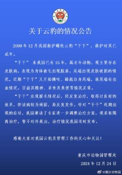 重庆动物园通报云豹健康情况 老年云豹皮肤病复发接受治疗