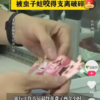 老人将11万现金放家里被虫咬到破碎 传统储蓄风险引反思