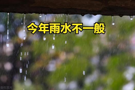 今年雨水不一般，60年一遇，有3大特点，4大特殊