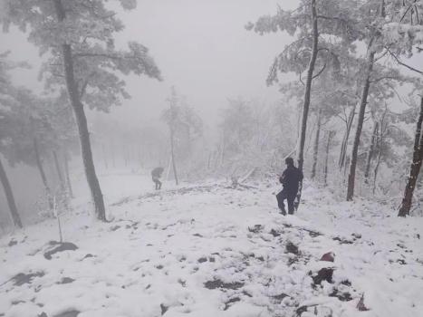 “驢友”進山賞雪被困 警方緊急救援 雪景雖美安全第一