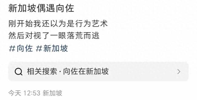 向佐在炎热的新加坡穿厚外套 独特造型引热议