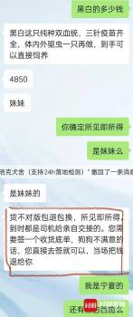 女子网购西施犬却收到“串串” 网购宠物陷阱多