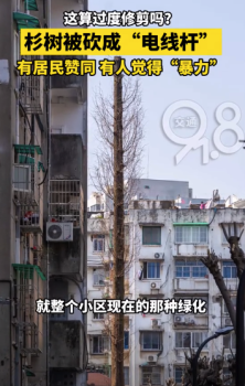 有人赞同修剪，有人觉得太不美观！