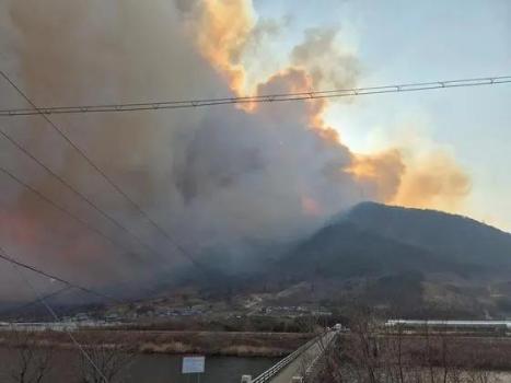 韩国多地进入灾难状态 山火致4人遇难
