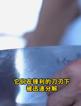 登陆舰炊事班亮出拿手菜 蛙兵蟹将端上餐桌，美味也是战斗力
