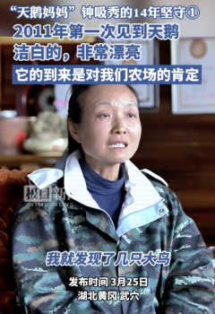 “天鹅妈妈”钟吸秀的14年坚守