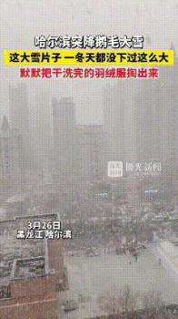 东北三月末飘起鹅毛大雪 春回冬至景象奇